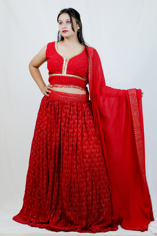 Red Sequin all over Lehenga